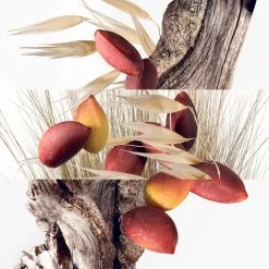 Hermès Collection Parfum JardinUn Jardin à Cythère Navulling Eau De Toilette -Beauty Verkoop 04g0Rs1079111 2 dgl BE