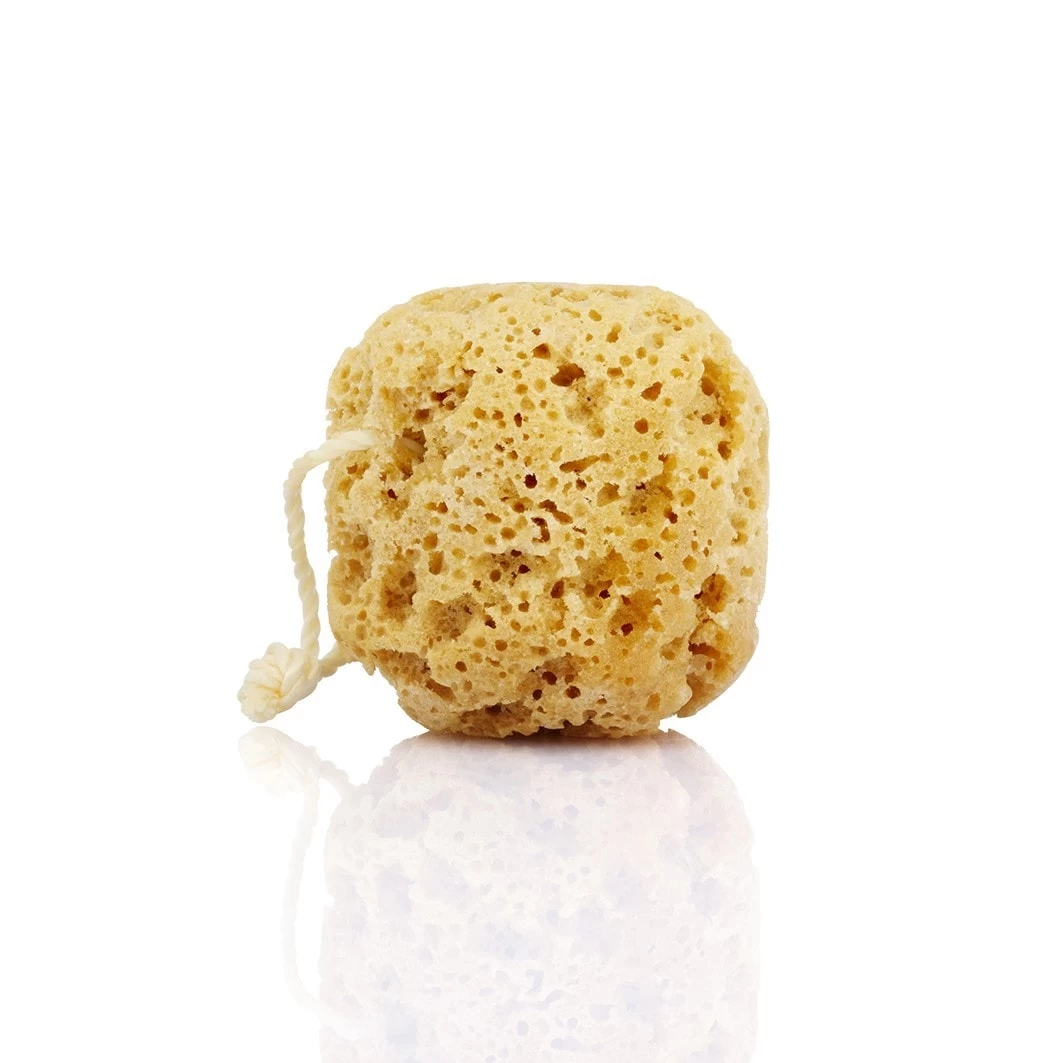 Body CareMet Zeep Doordrenkte Badspons 2 Body CareMet Zeep Doordrenkte Badspons - Afbeelding 2