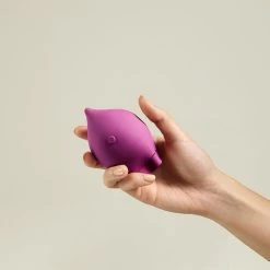 The Poet -Beauty Verkoop 22e3QM288829 5 dgl BE