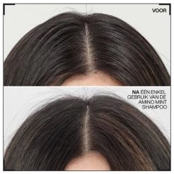 Redken Scalp ReliefAmino Mint Shampoo -Beauty Verkoop 7gj2gp429331 7 dgl BE