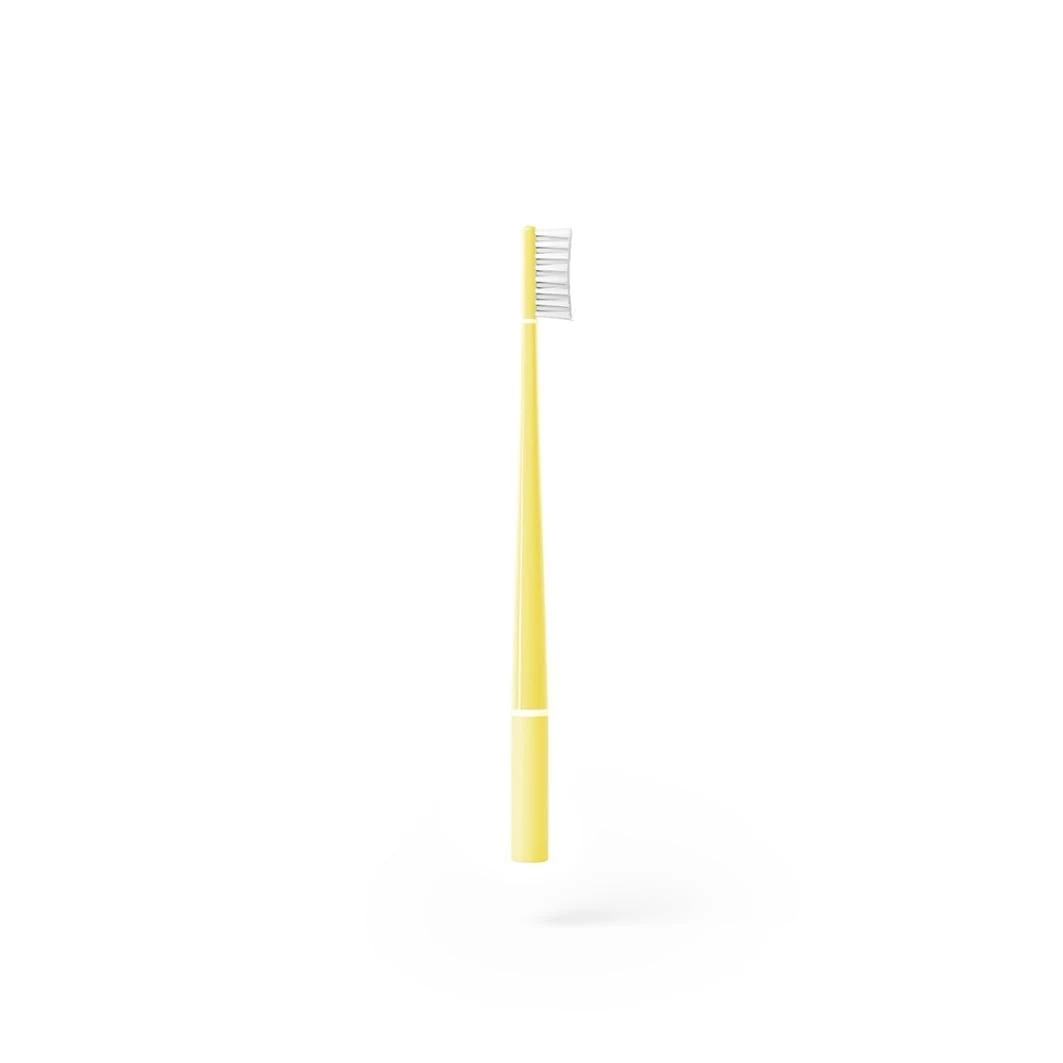 Echinacea Lemon 2 Echinacea Lemon - Afbeelding 2