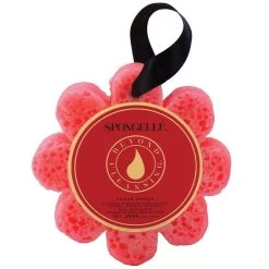 Wild FlowersSugar Dahlia