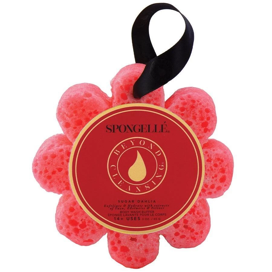 Wild FlowersSugar Dahlia 1 Wild FlowersSugar Dahlia